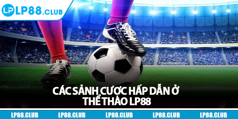 Các sảnh cược hấp dẫn ở thể thao Lp88